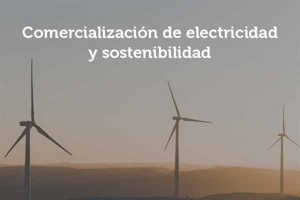 Comercialización electricidad y sostenibilidad