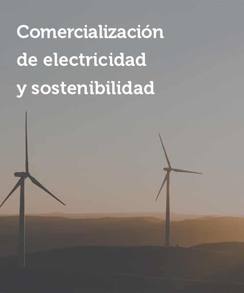 Comercialización electricidad y sostenibilidad