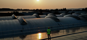Proyecto solar ARPA Industriale